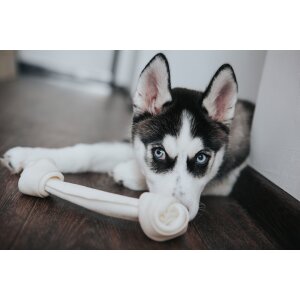 Bild für Kategorie: Futter