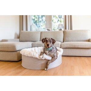 Bild für Kategorie: Hundebetten