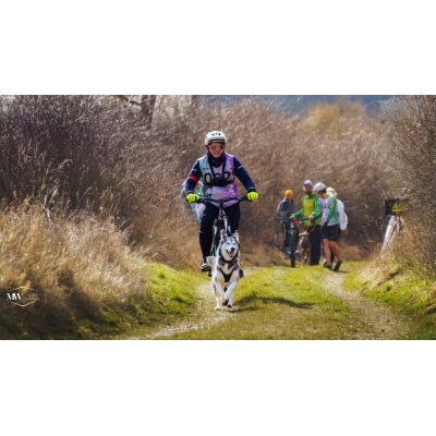 Equipment Zughundesport