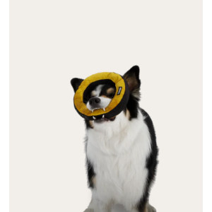 Bild für Kategorie: Hundespielzeug