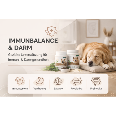 Immunbalance & Darm