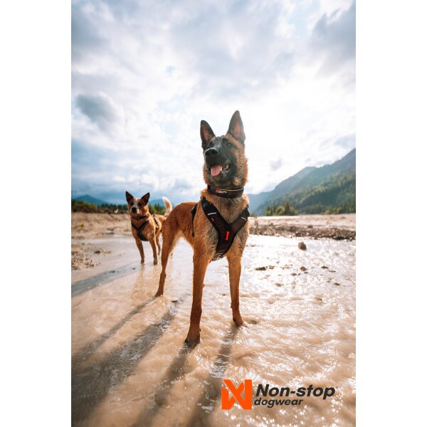 Rock Adjustable Collar