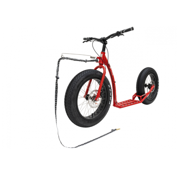 Dogscooter Kostka Raptor Max  Dog (G6) Satin Ferarri