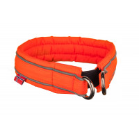 Safe Collar