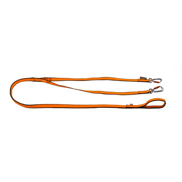Bungee Leash Double