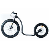 Kickbike Fat Max 20/26 black