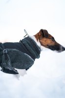 Wool dog jacket