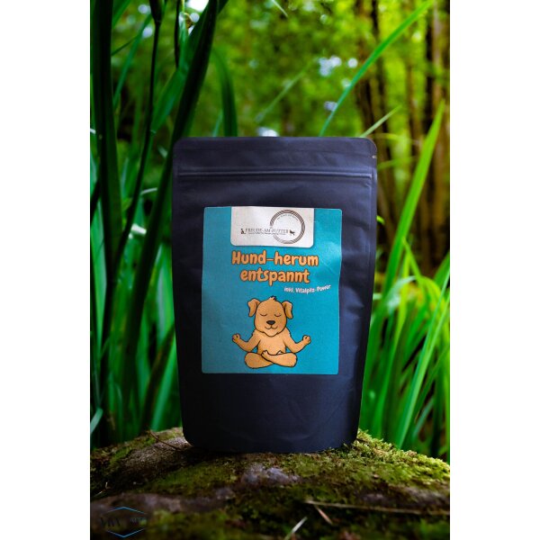 Hund-herum entspannt