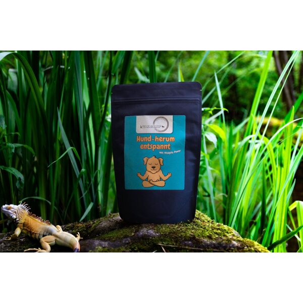 Hund-herum entspannt