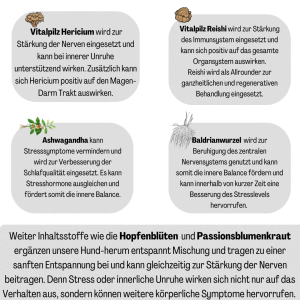 Hund-herum entspannt