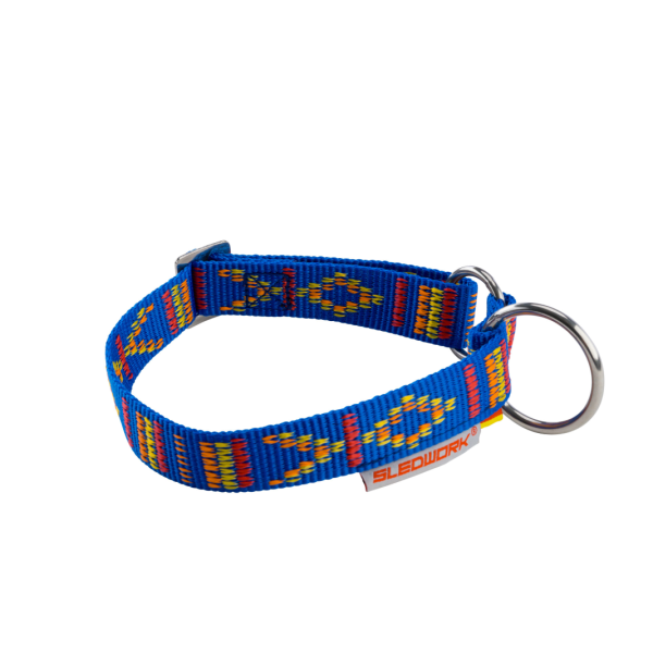 Racing Collar – Arctic “Indian Summer”