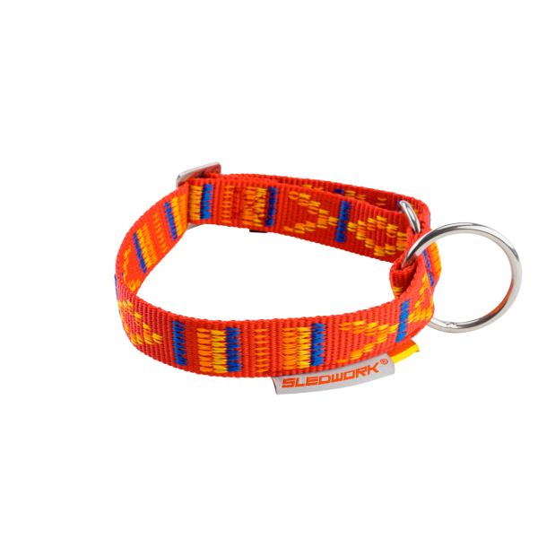 Racing Collar – Arctic “Indian Summer”