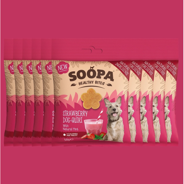 Erdbeer-Hunde-Queri-Bites