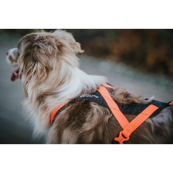 Rush Harness