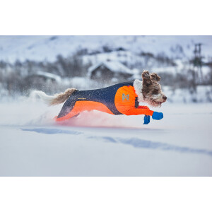 Protector Snow Hündin S