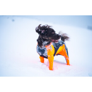 Protector Snow Hündin S