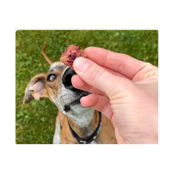 häppy happen — mit Rote Beete, Pastinake & Cranberry