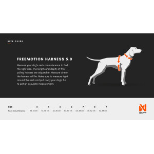 Freemotion Harness 5.0 - 15. Jubiläum - Limitiert 9 *Ausstelllungsstück