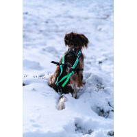 Freemotion Harness 5.0 - 15. Jubiläum - Limitiert 9 *Ausstelllungsstück