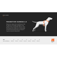 Freemotion Harness 5.0 - 15. Jubiläum - Limitiert 9 *Ausstelllungsstück