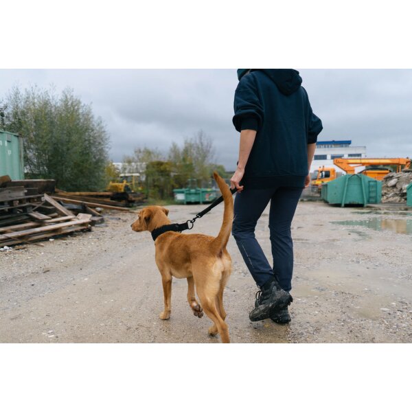 Safety Lead WorkingDog schwarz