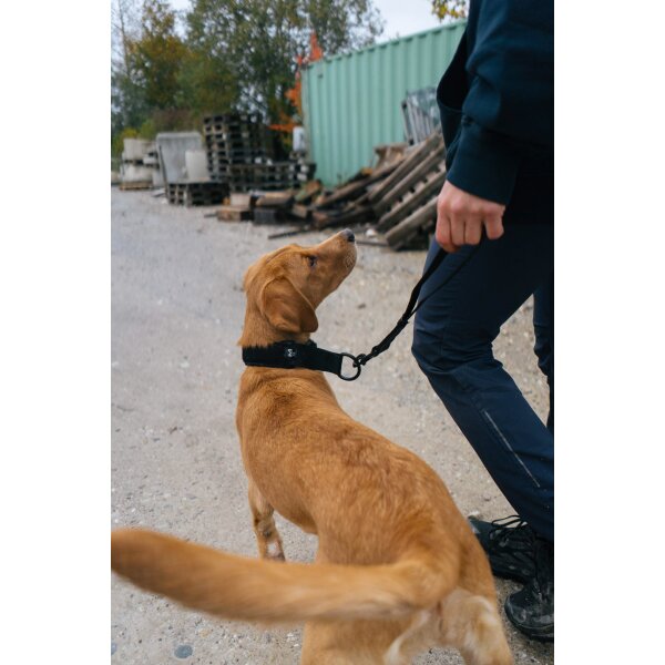 Safety Lead WorkingDog schwarz