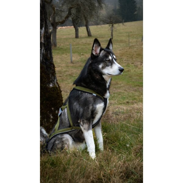 Xback Active G3 -  Geschirr und Leine Olive
