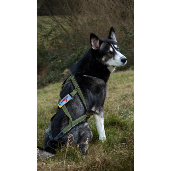 Xback Active G3 -  Geschirr und Leine Olive