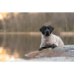 Drying Coat - Hundebademantel