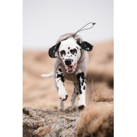 Drying Coat - Hundebademantel