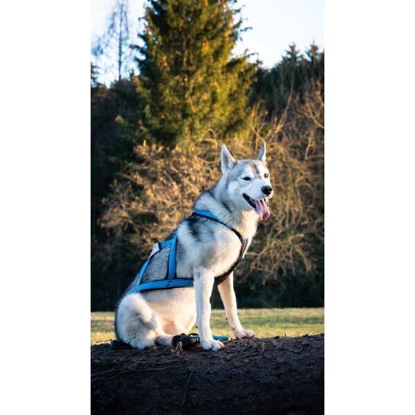 Xback Active G3 -  Special Petrol