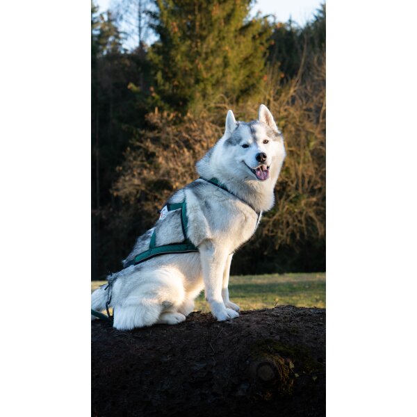 Xback Active G3 -  Special Dunkelgrün