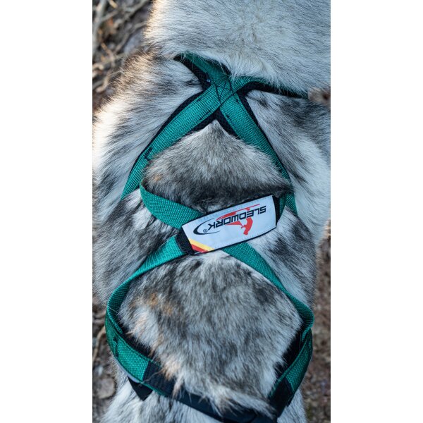 Xback Active G3 -  Special Dunkelgrün