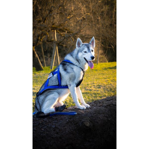 Xback Active G3 -  Special Blau