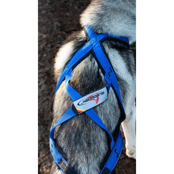 Xback Active G3 -  Special Blau