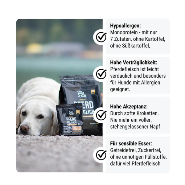 Perfekt PferdTräglich