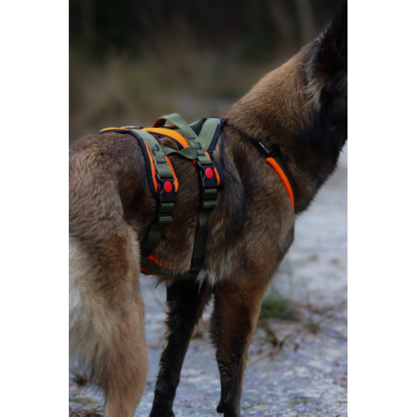 Open Range Harness – Adventure