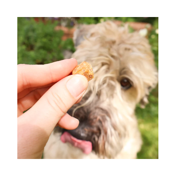 häppy schmäckies - mit Apfel, Karotte, & Cranberry