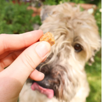 häppy schmäckies - mit Apfel, Karotte, & Cranberry