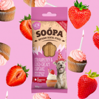 Zahnpflegesticks Strawberry & Coco-Cream Cupcake Healthy (4 Sticks)