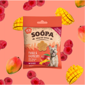 Mango & Raspberry Healthy Bites