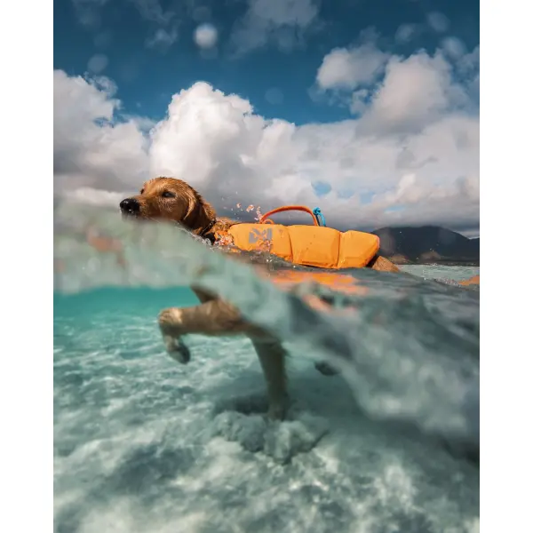 Protector Life Jacket Orange