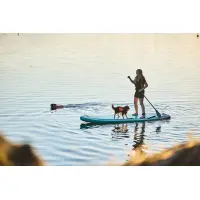 Protector Life Jacket Orange