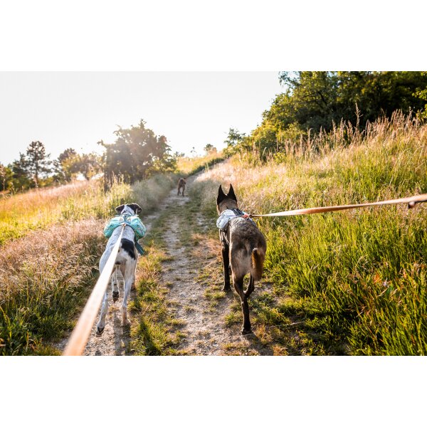 Trail Light dog backpack