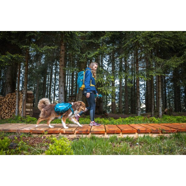Trail quest dog backpack