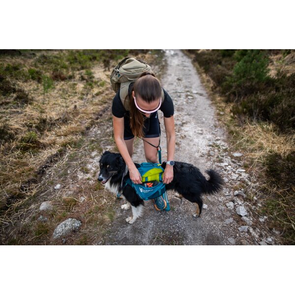 Trail quest dog backpack