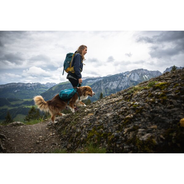 Trail quest dog backpack