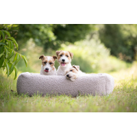 Hundebett Teddy beige