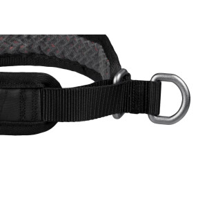 Rock Collar 3.0