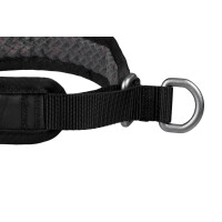 Rock Collar 3.0